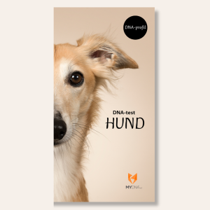 DNA-profil Hund (ISAG 2006)